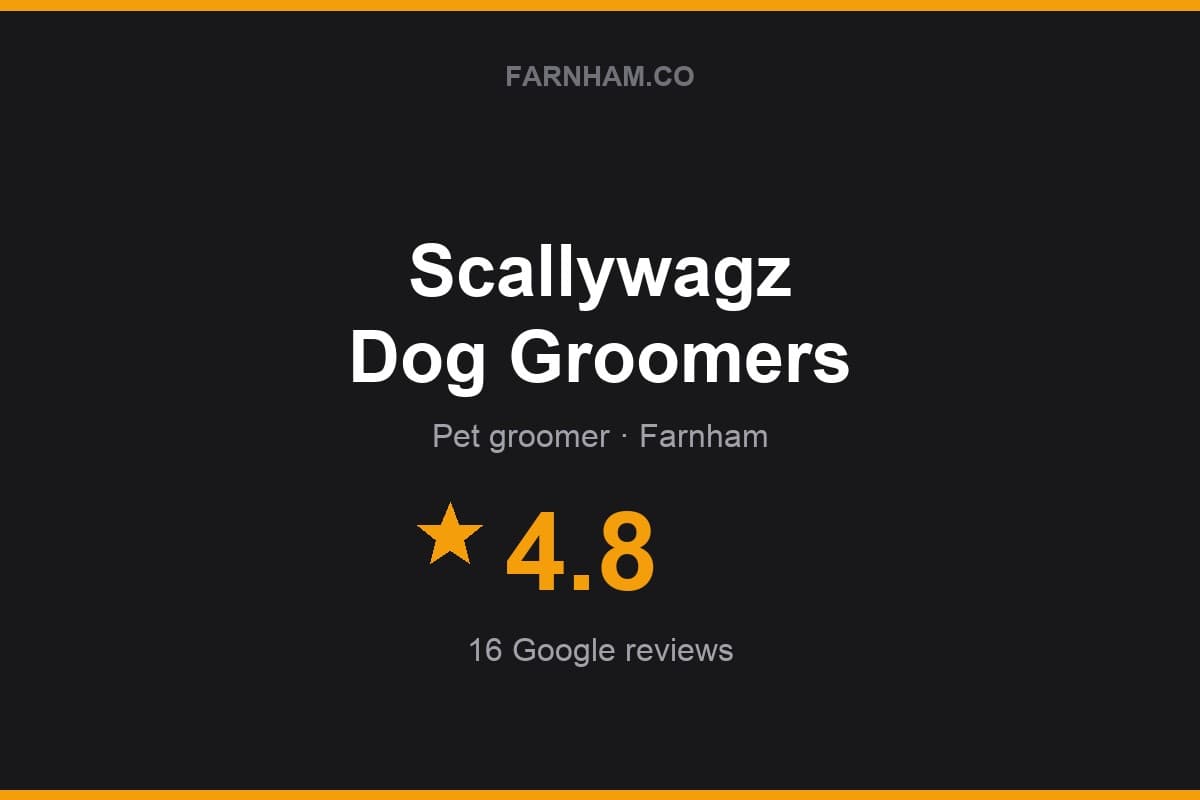 Branded Farnham Direct rating card for Scallywagz Dog Groomers: 4.8 stars, 16 Google reviews